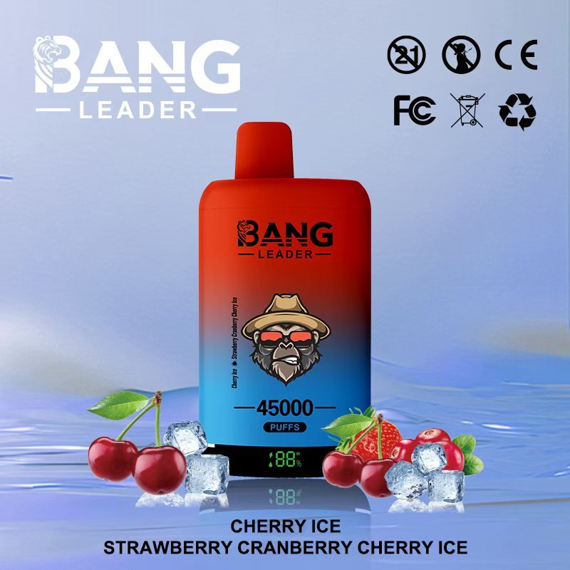vape flavors rechargeable Bang Leader 45000 Puffs Disposable Vape