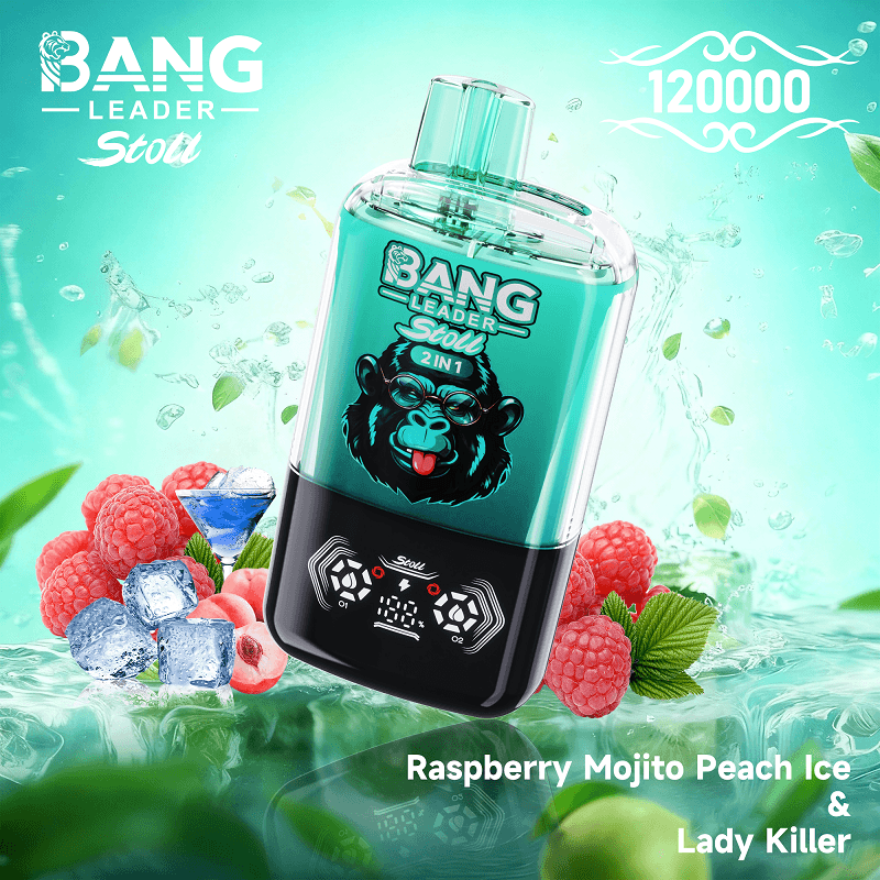 Bang Leader 120k Puffs 2 in 1 Dual Flavor Disposable Vape - Smart LED Display Crystal Vape - Image 8