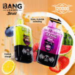 bang leader 120000 puffs