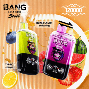 bang leader 120000 puffs