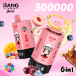 Bang Leader 300k puff 6 in 1