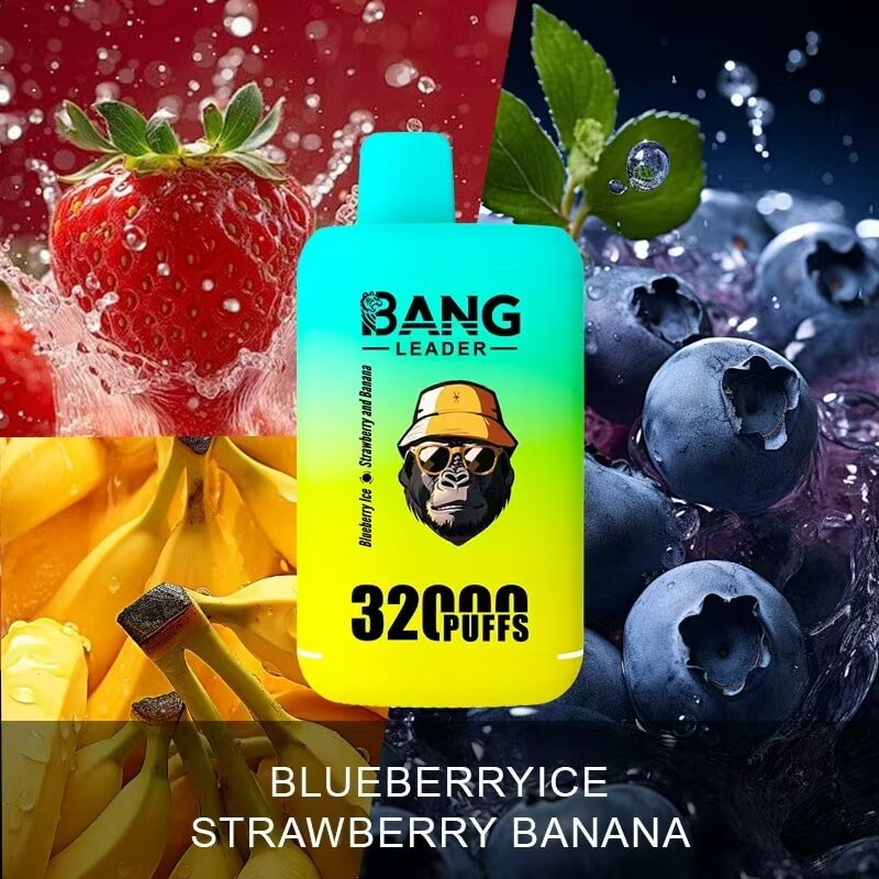 Bang Leader 32000 Puffs Disposable Vape | Dual Flavor & Rechargeable Type-C - Image 4