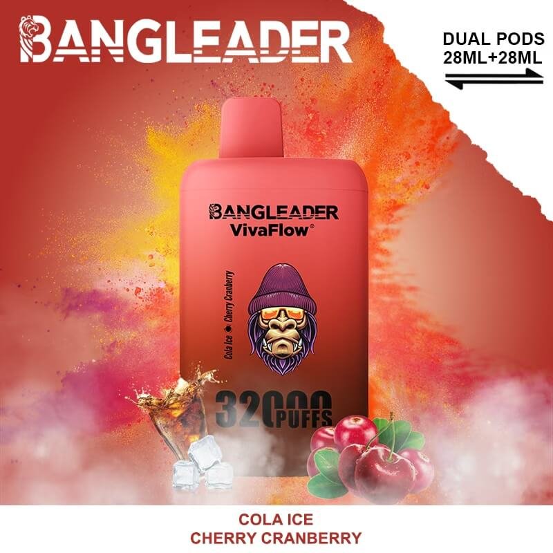 Bang Leader 32000 Puffs Disposable Vape | Dual Flavor & Rechargeable Type-C - Image 10