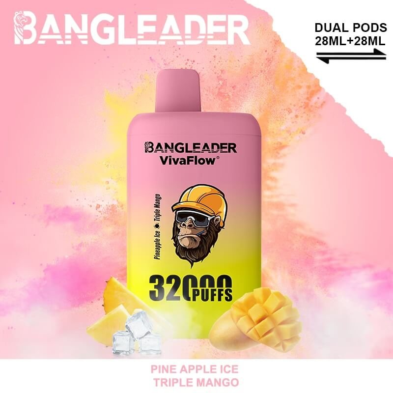 Bang Leader 32000 Puffs Disposable Vape | Dual Flavor & Rechargeable Type-C - Image 9