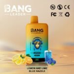 Bang Leader 45000 puff 2in1 flavors