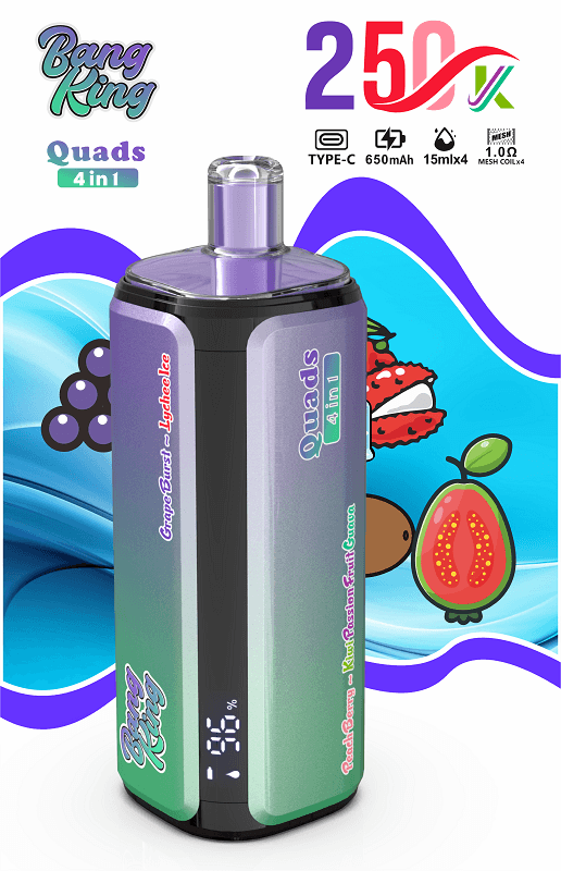 Bang King 250000 Puffs 4 in 1 Quads Ultra Long Lasting Multi-Flavor Disposable Vape (650mAh Battery, 4x15ml Pre-Filled Pods, Quad Mesh Coil) - Image 3